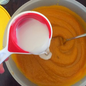 Easy Vegan & Paleo Butternut Squash Soup