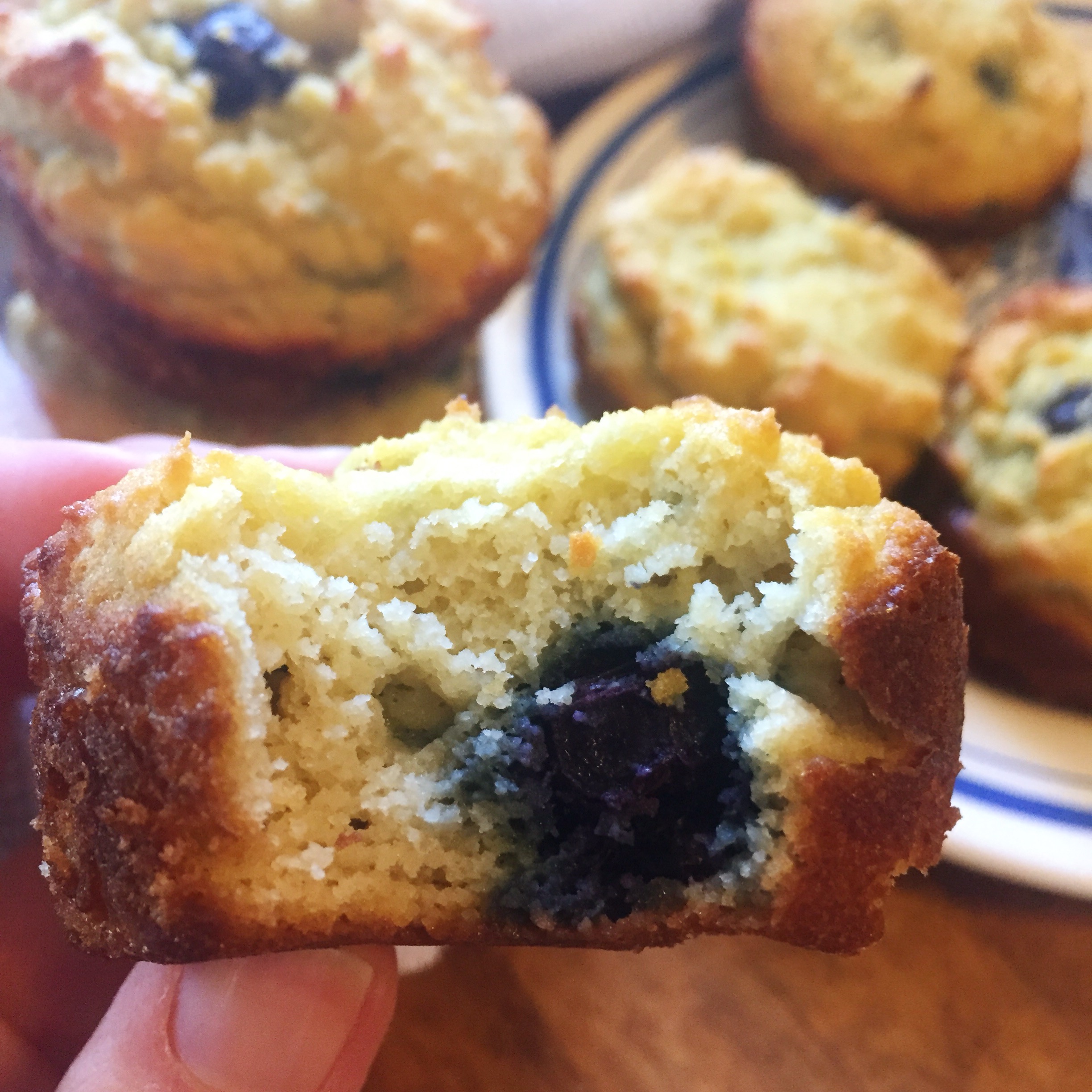 nut free paleo blueberry muffins
